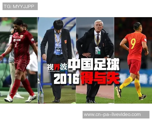 中国足球运动员注册人数持续增长背后的原因与影响分析