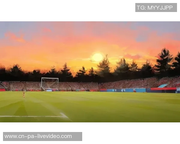 在绿茵场上绘制梦想与激情的足球场图画